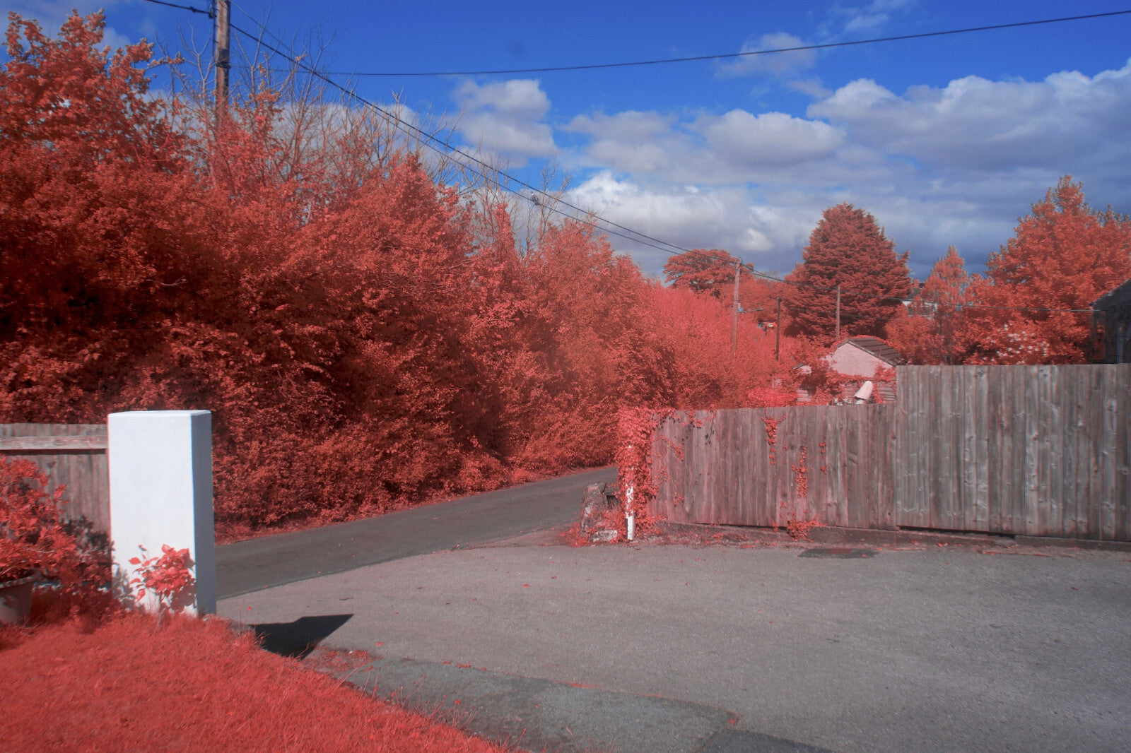 49mm Aerochrome IR Chrome Filter - Optional 40.5mm Adapter - 1st Class Post3